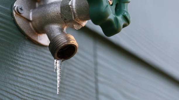 Best Drain Cleaning Services  in Marion, IA